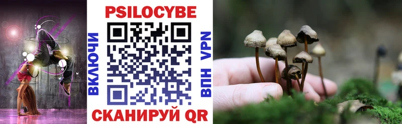где найти   Красноуфимск  Псилоцибиновые грибы GOLDEN TEACHER 